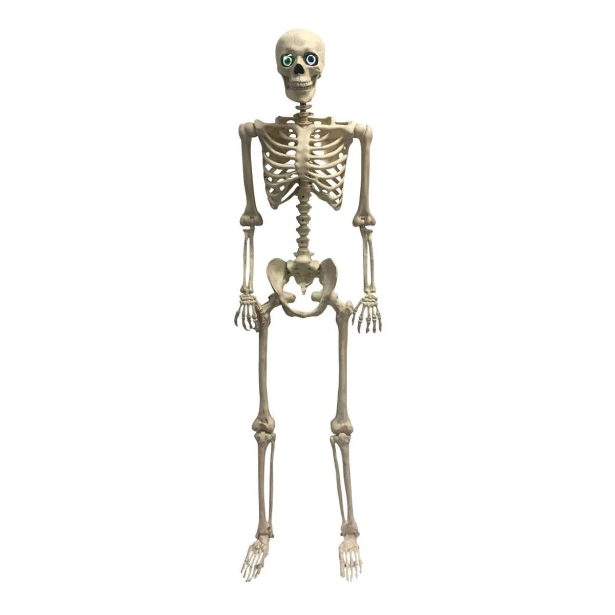 Animated Skeleton with Light Eyes, 60 Inches