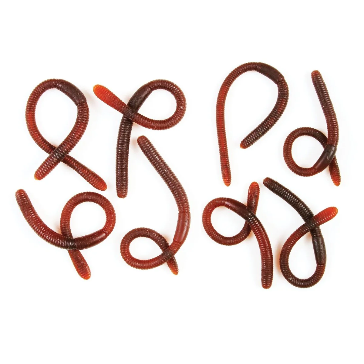 Bags-O-Bugs, Assortment, 1 Count - Image 2