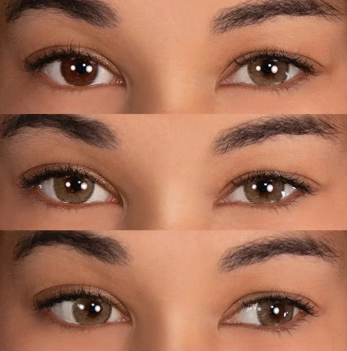 PRIMAL® Charm Chestnut - Brown Coloured Contact Lenses - Image 3