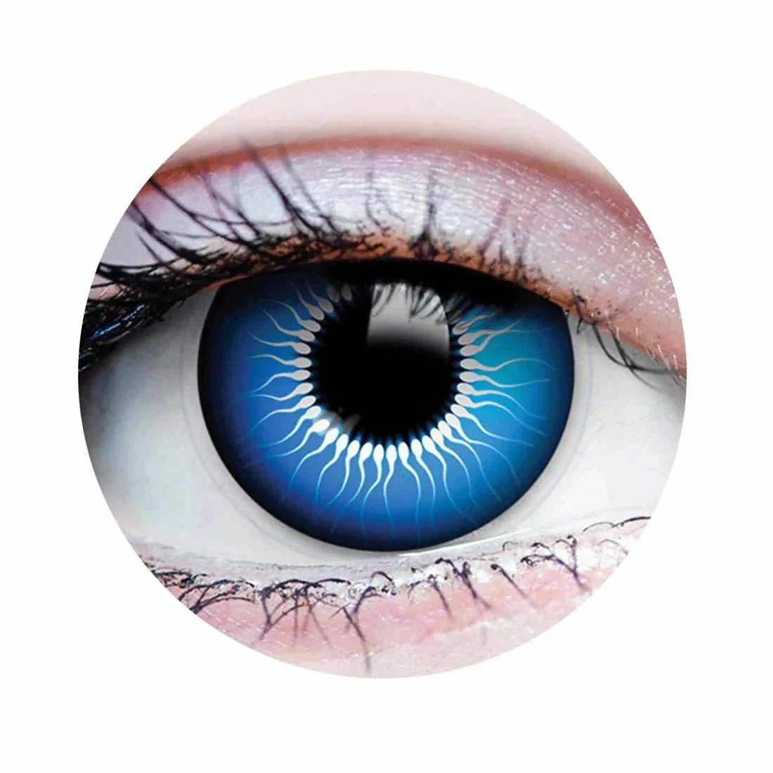 PRIMAL® Chucky - Vivid Blue Coloured Contact Lenses, 3 months usage