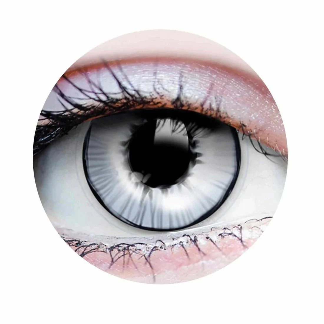 PRIMALĀ® Ghost - Grey Coloured Contact Lenses, 3 months usage