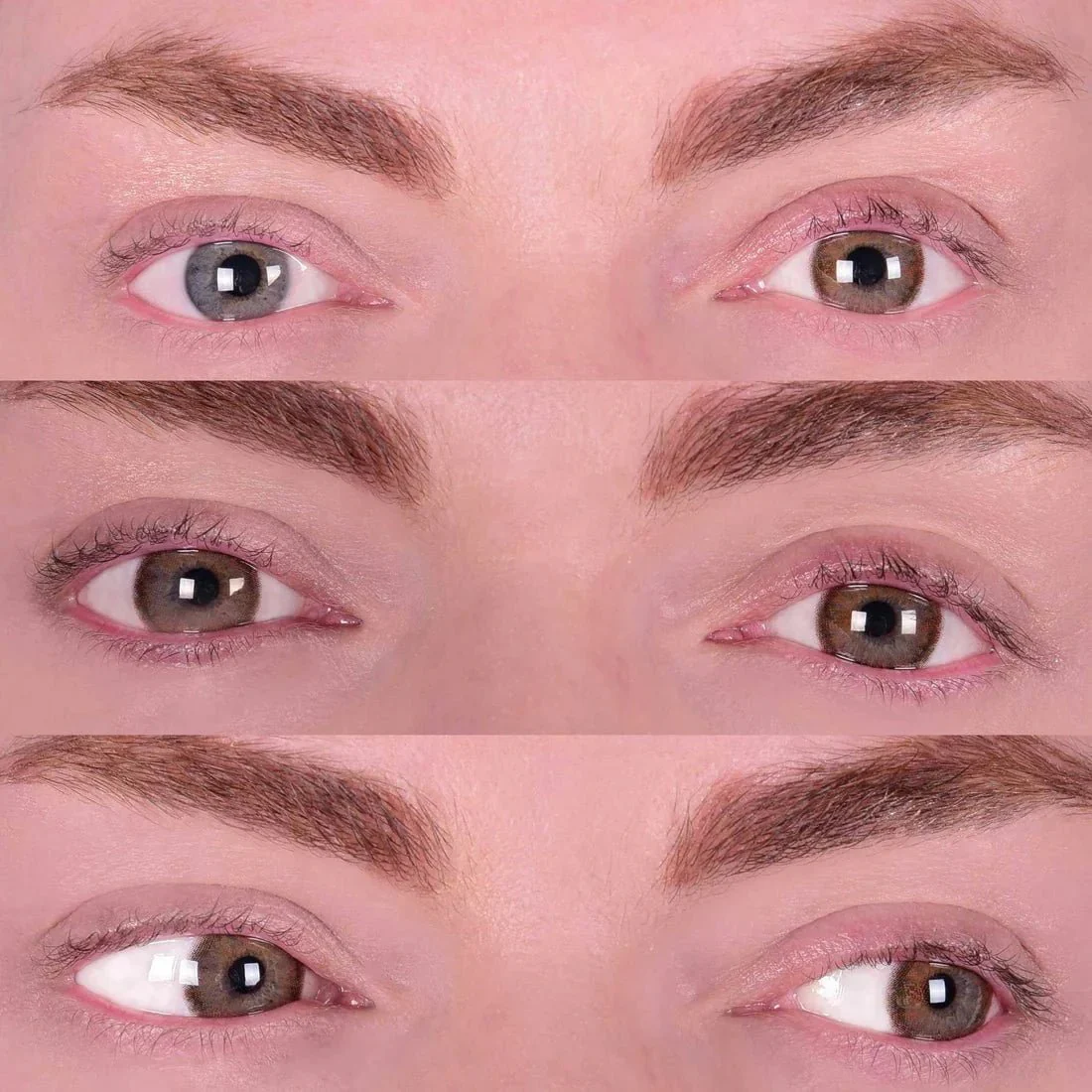 PRIMAL® Twilight Hazel - Brown Coloured Contact Lenses, 3 Months Usage - Image 6