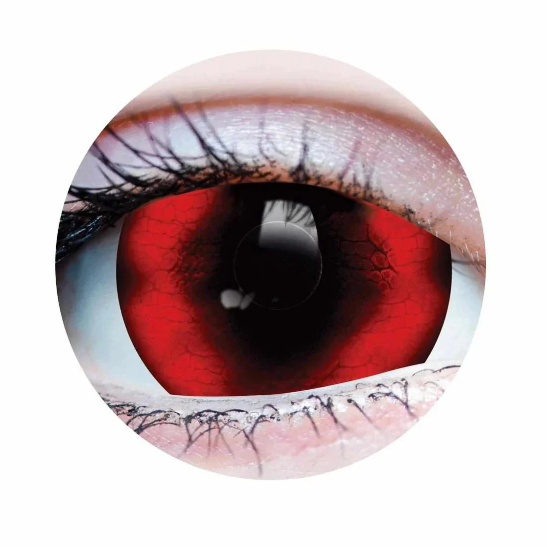 PRIMALĀ® Reptilian - Red Coloured Contact Lenses, 3 months usage
