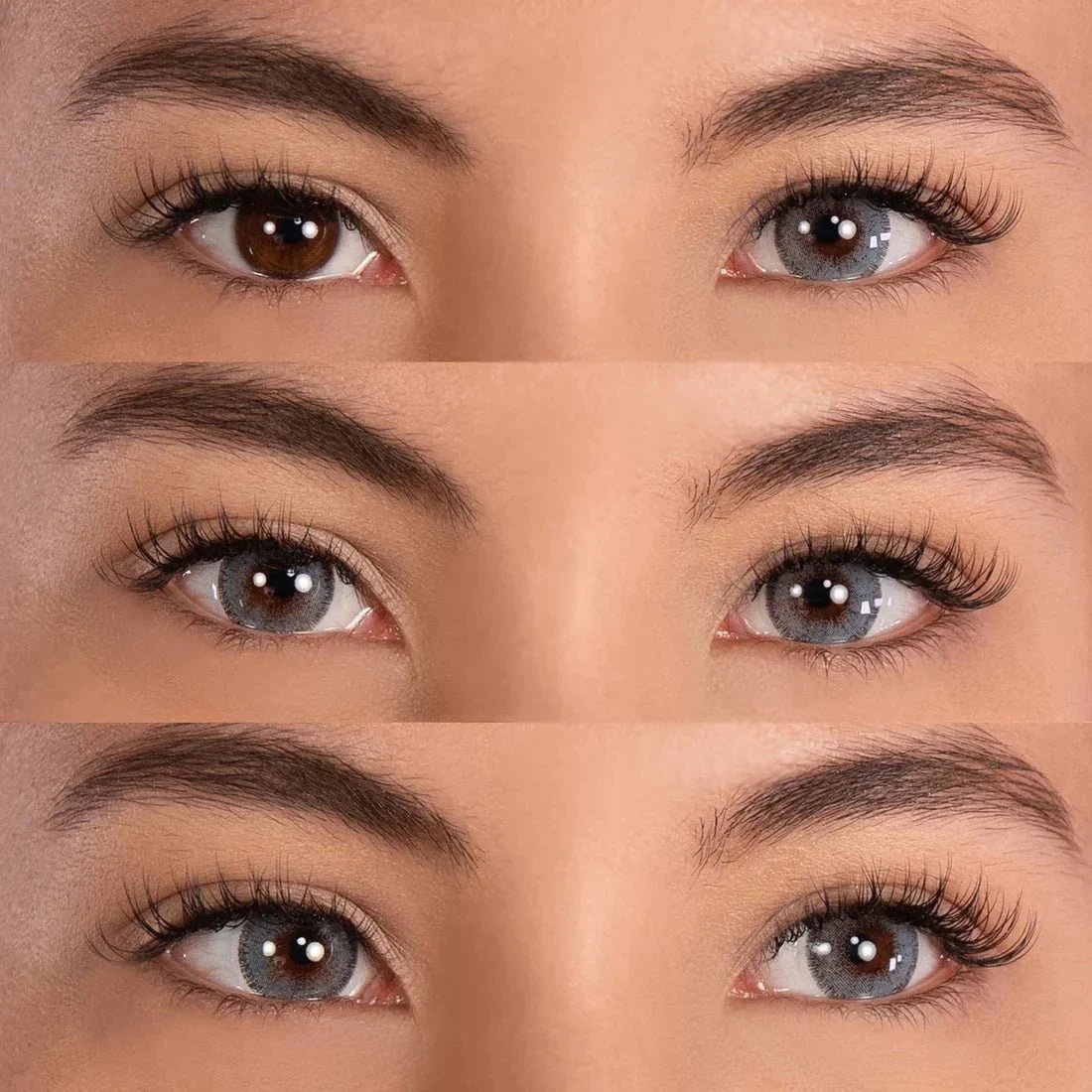 PRIMAL® Charm Sapphire - Blue Coloured Contact Lenses, 3 months usage - Image 4
