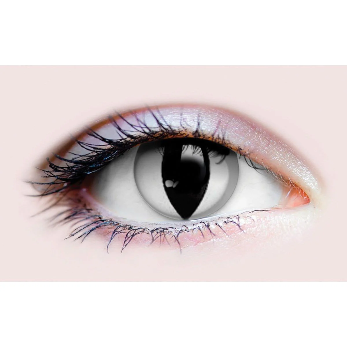 PRIMAL® Venom - White and Black Reptile Coloured Contact Lenses, 3 Months Usage - Image 2
