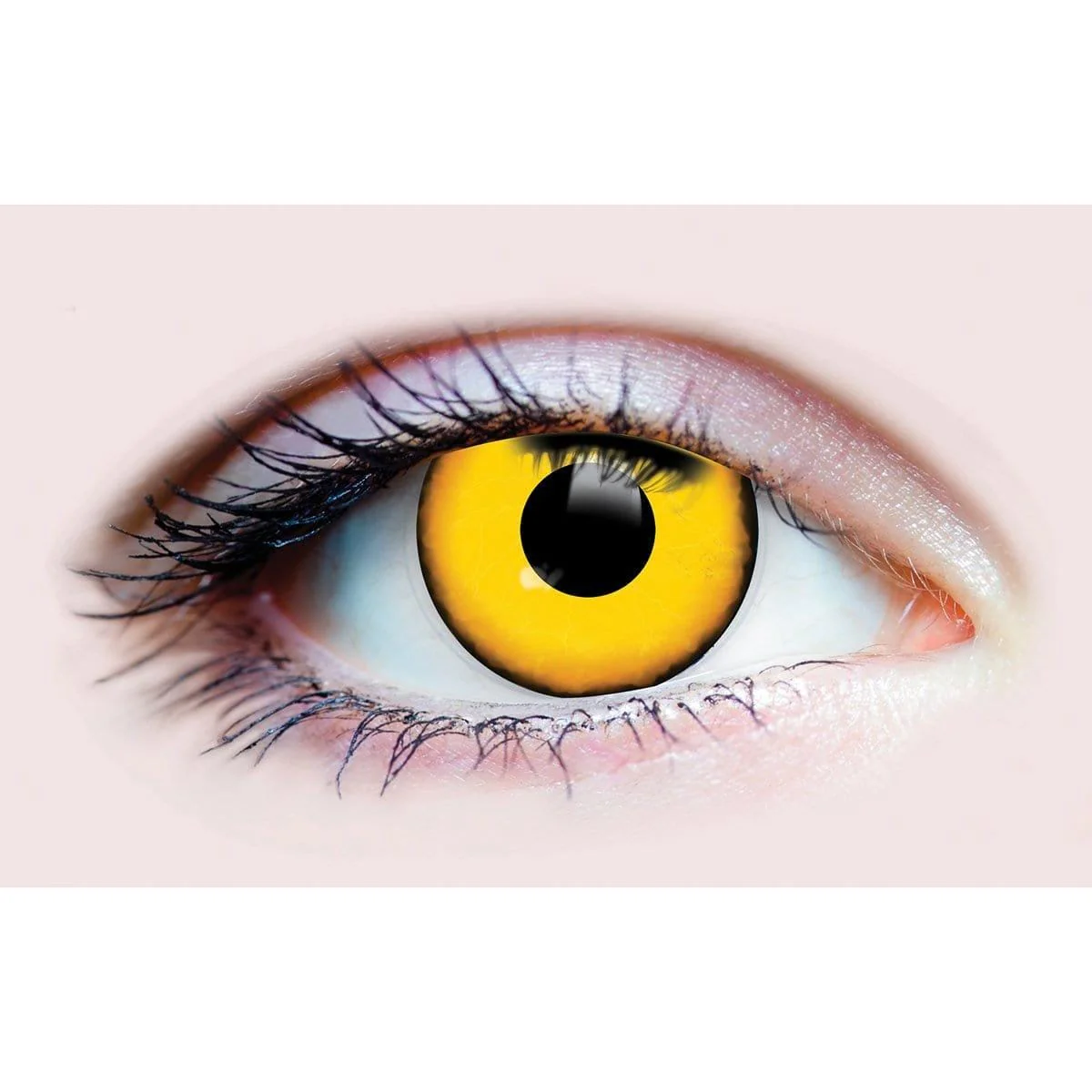 PRIMAL® Villain - Yellow Coloured Contact Lenses, 3 months usage - Image 2
