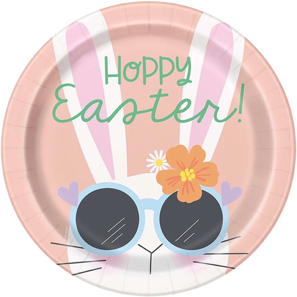 Cool Bunny Large Round Lunch Paper Plates, 9 Inches, 8 Count