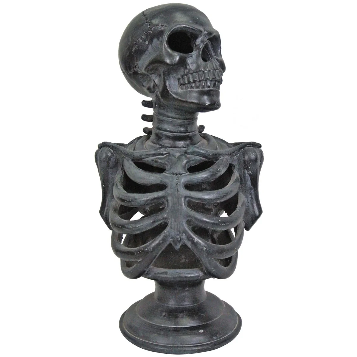 Light-Up Skeleton Torso, 12 Inches, 1 Count
