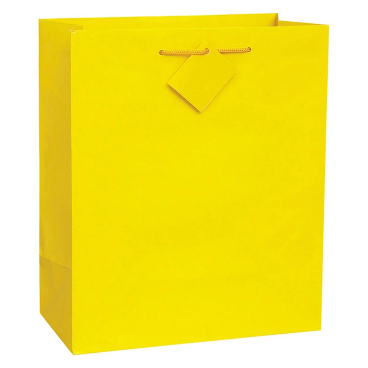 Medium Plain Colour Gift Bag, Assortment, 1 Count - Image 5