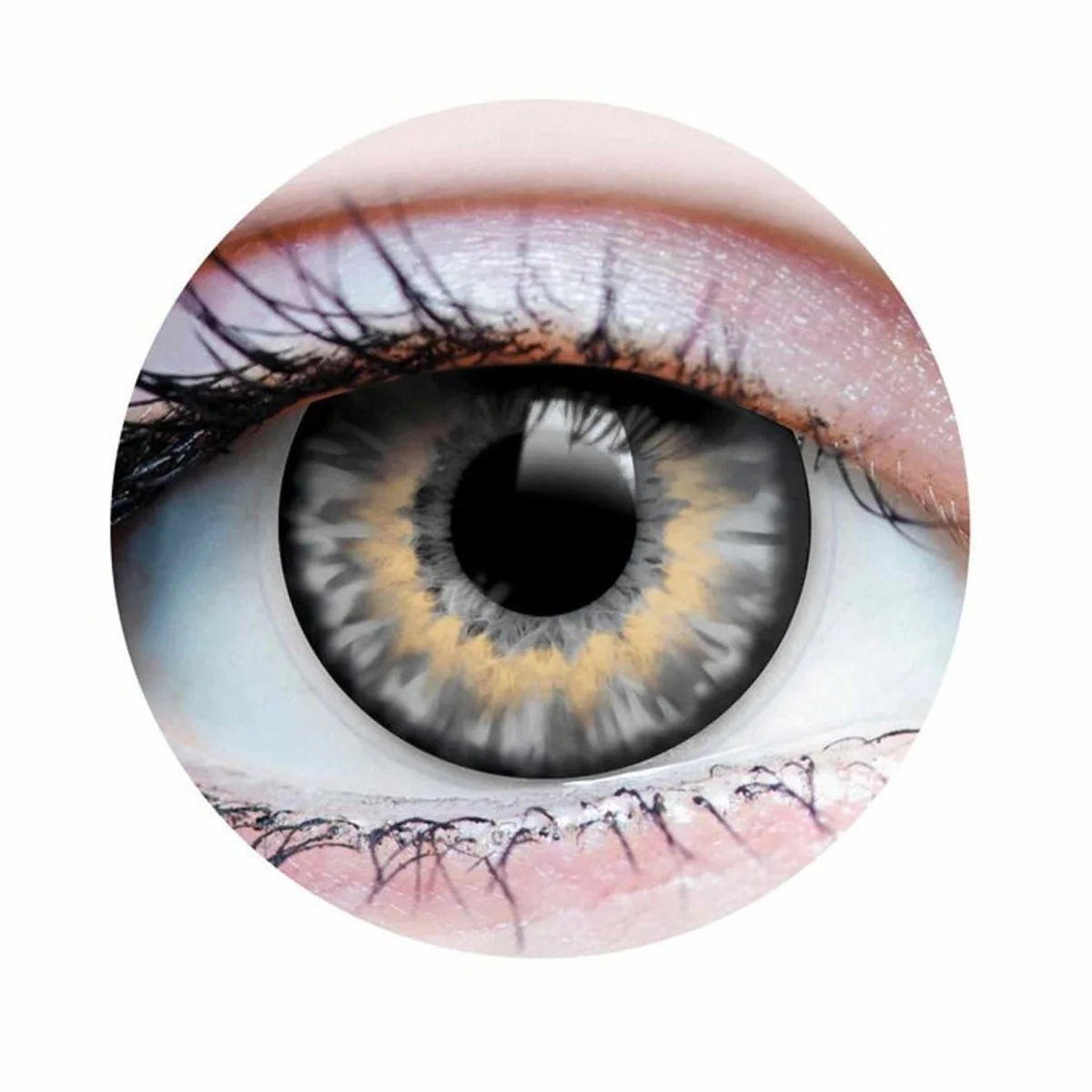 PRIMALĀ® Sunrise Ash - Grey Coloured Contact Lenses, 3 Month Usage