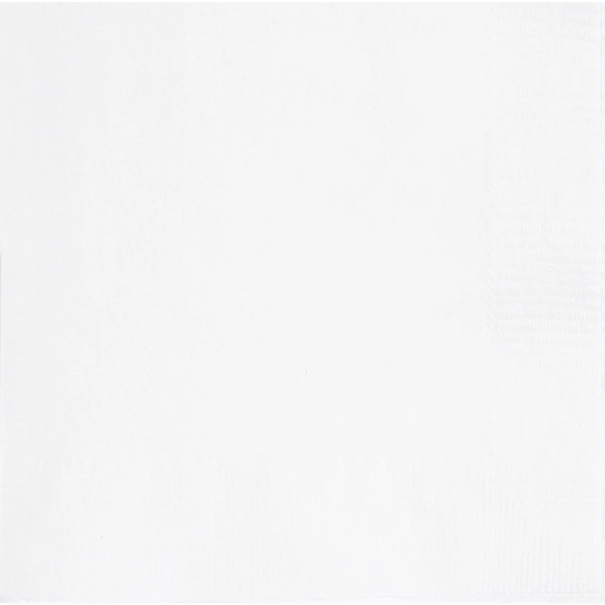 White Large Lunch Napkins, 20 Count