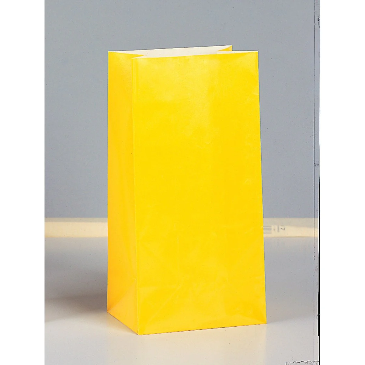 Yellow Paper Party Bags, 10 x 5 Inches, 12 Count